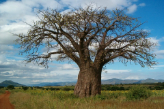 ERITREA