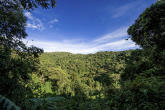 MALAWI