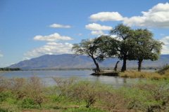 SAMBIA