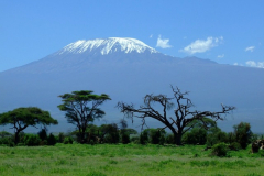 TANSANIA